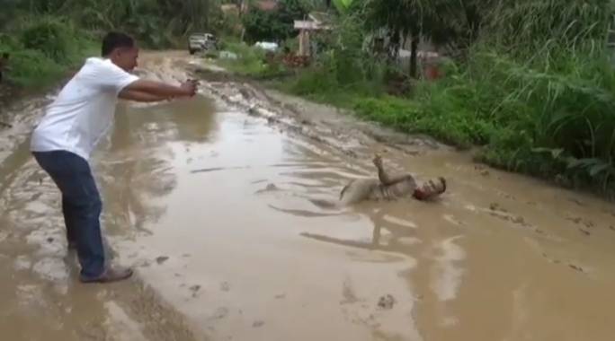 Protes Pemerintah, Seorang Warga Berfoto di Jalan Berlumpur Padangpulo Asahan