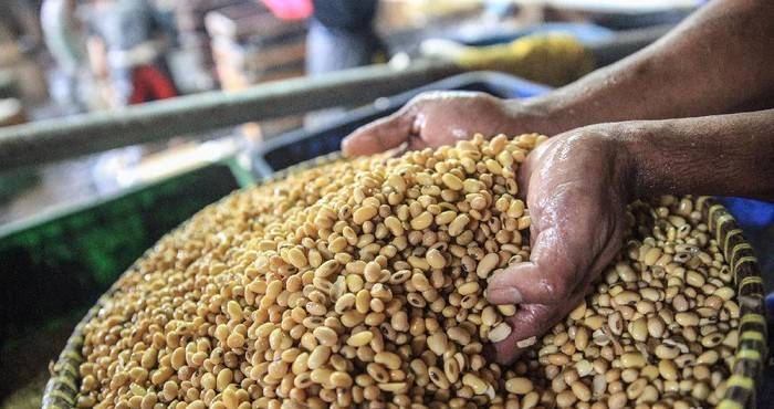 Harga Kedelai Mahal, Tahu dan Tempe Alami Inflasi