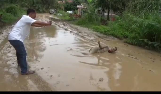 Protes, Seorang Warga Berswafoto di Jalan Berlumpur di Desa Padang Pulo