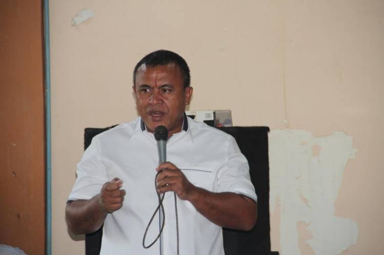 Meriahkan HUT ke 48, PDI Perjuangan Tanam 30.000 Pohon di Bantaran Sungai di Sumut 