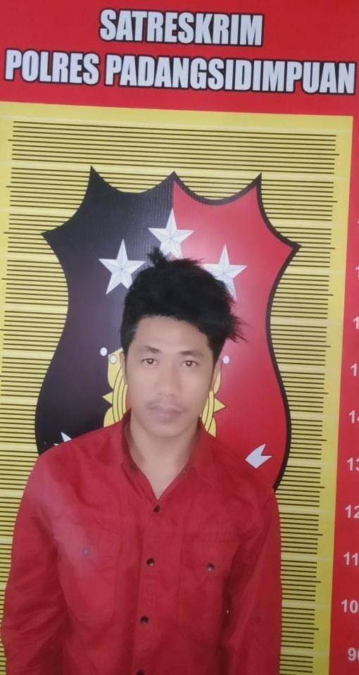 Pelaku Cabul Ditangkap Polres Padangsidimpuan