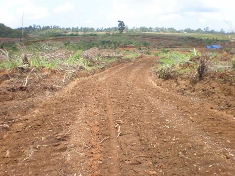Camat Siantar Martoba Diberi Waktu 3 Hari Tuntaskan Pembukaan Jalan ke Gang Sawit Kecil