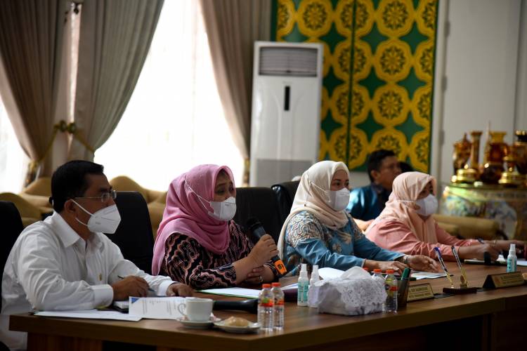 Persiapan Pameran Online RKA, Nawal Lubis Minta Kesiapan Kabupaten/Kota