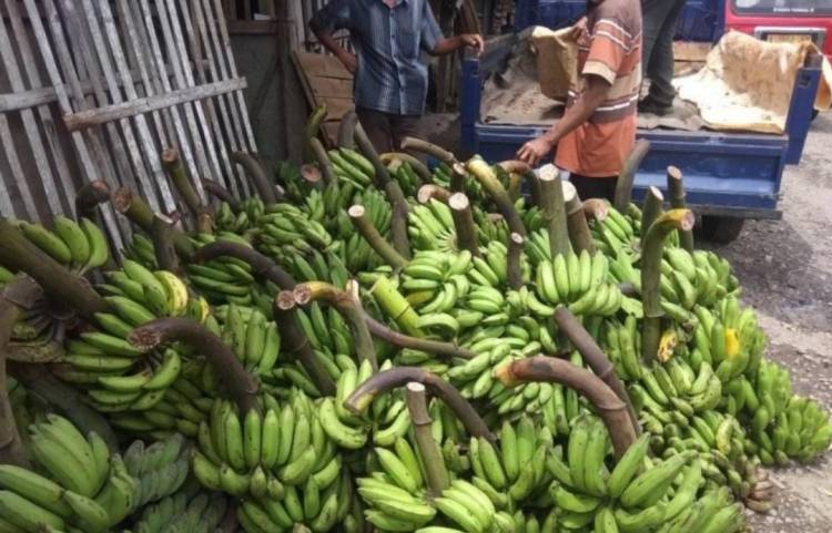 Buah Pisang Asal Dairi Banjiri Pasar Tradisional di Medan