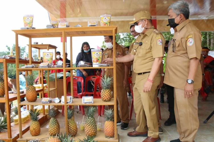Bupati Taput Resmikan Desa Wisata Kampung Nenas.di Sipahutar