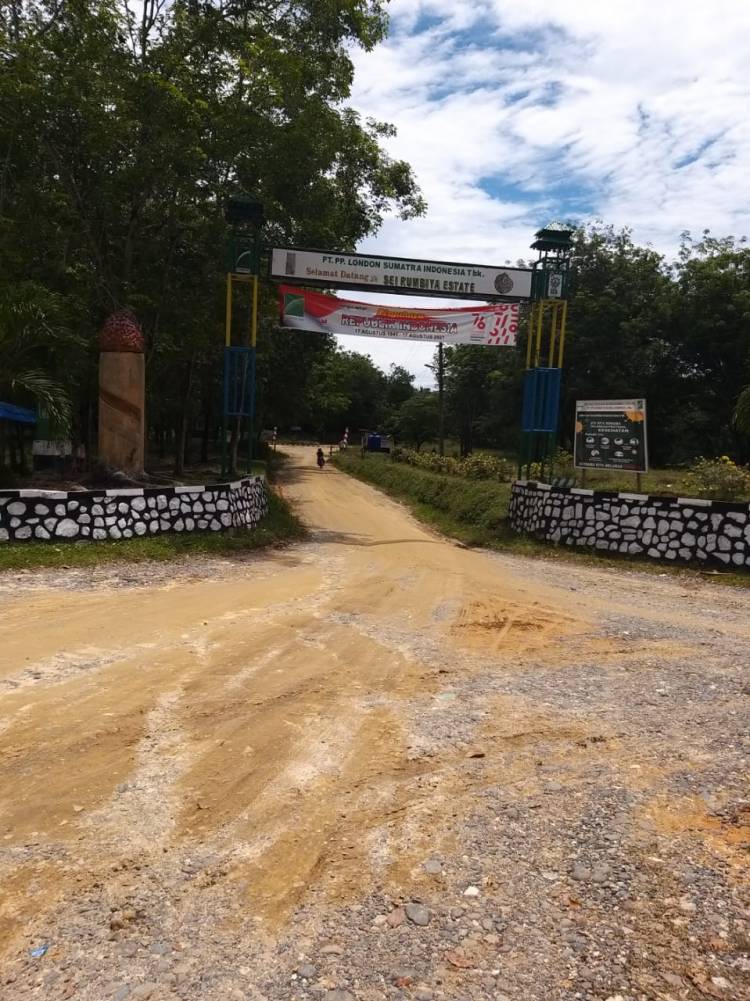 Minta Bonus Dinaikkan, Karyawan PTPP Lonsum SRE di Labusel Mogok Kerja