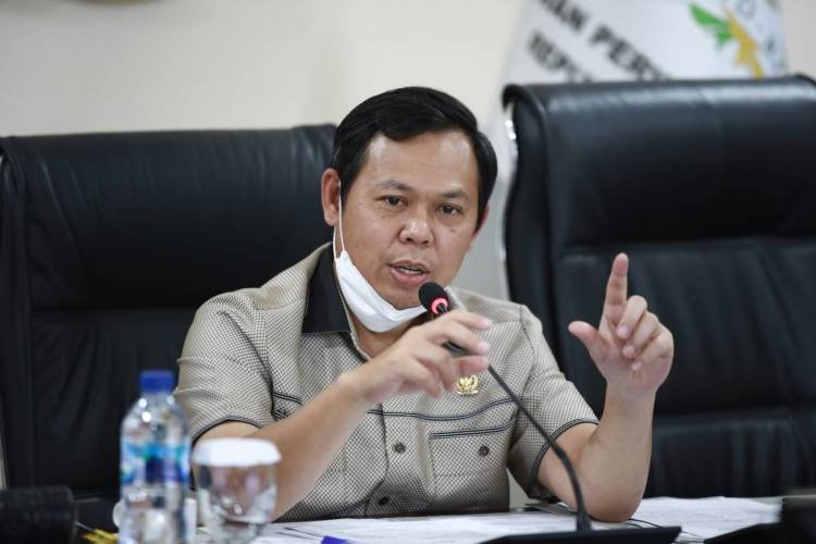 Food Estate Rambah Hutan Primer, Wakil Ketua DPD Minta Pemerintah Evaluasi