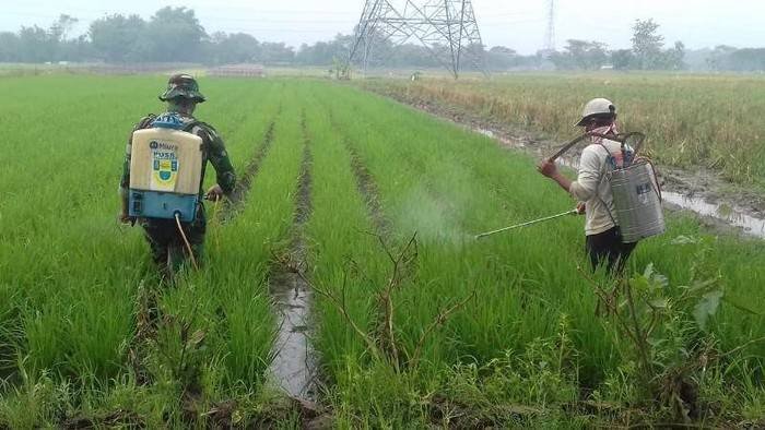 Perusahaan Memasarkan Pupuk dan Pestisida di Simalungun Diminta Salurkan CSR kepada Petani
