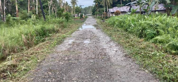 Jalan Penghubung Hilibadalu- Hili Gogowaya Rusak Parah