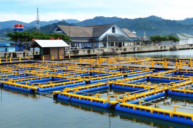 Keramba Jaring Apung di Danau Toba Perlu Diatur, Penertiban Dilakukan Hingga 2023