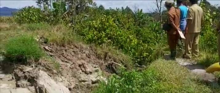 Estimasi Penanganan Longsor Saluran Irigasi di Tanjung Selamat Rp1 M