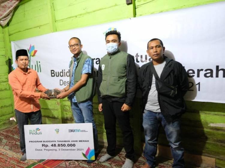 PLN UIP Sumbagut Bantu Program Budidaya Jahe Merah di Aceh