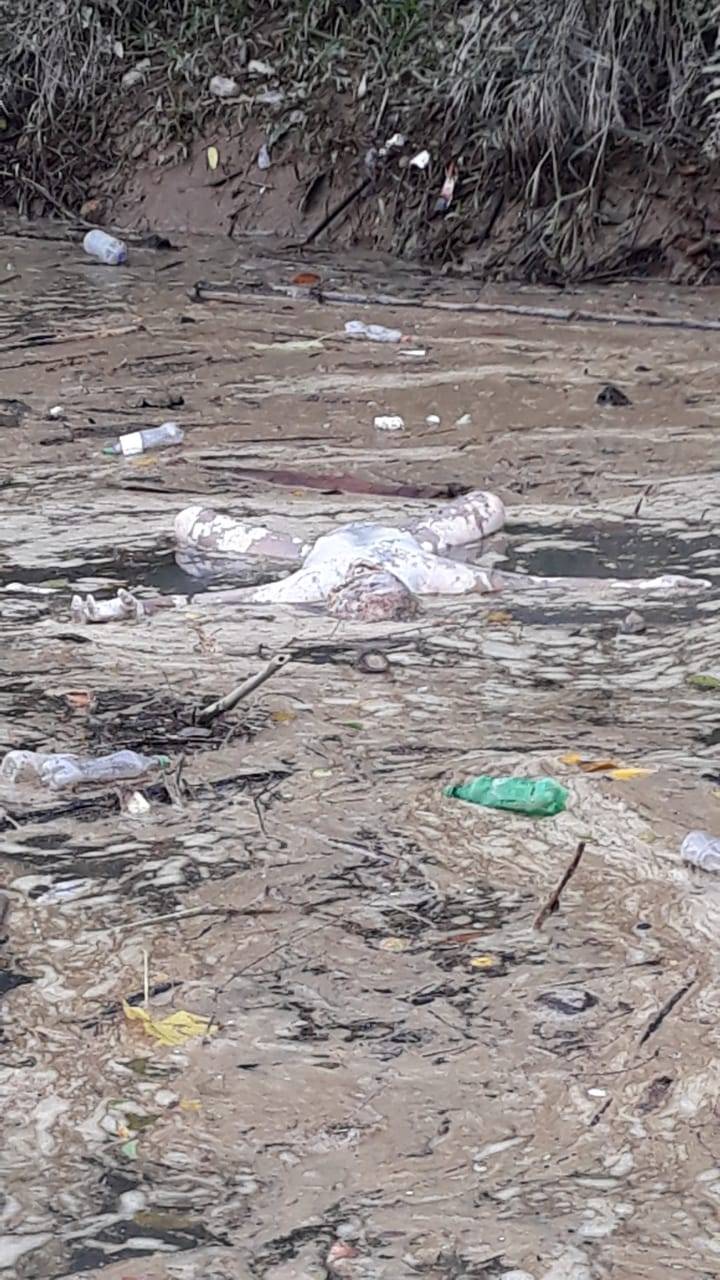 Sesosok Mayat Ditemukan di Bendungan PT WEP Rih Tengah Karo