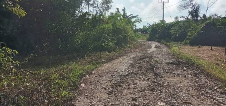 Jalan Sukarame-Kuta Babo Pakpak Bharat Rusak Parah