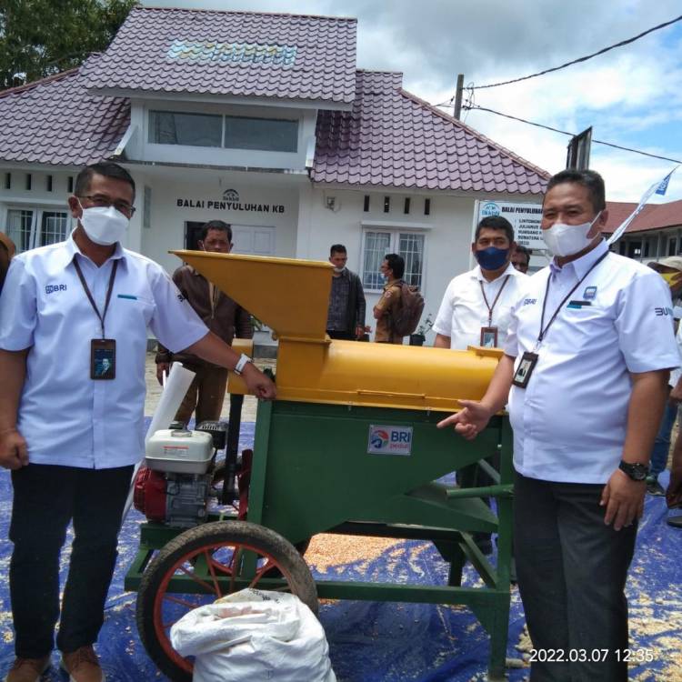BRI Cabang Tarutung Serahkan Bantuan CSR Kepada Kelompok Tani