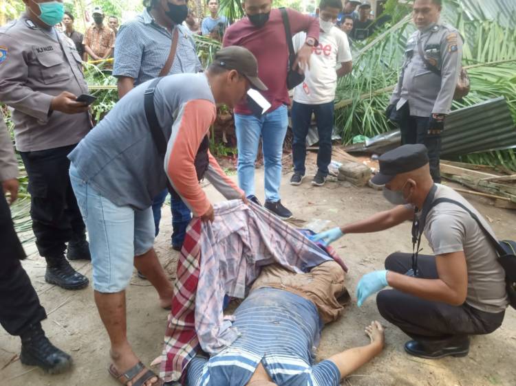 Warga Sergai Tewas Tertimpa Pohon Sawit di Pantailabu-Deliserdang