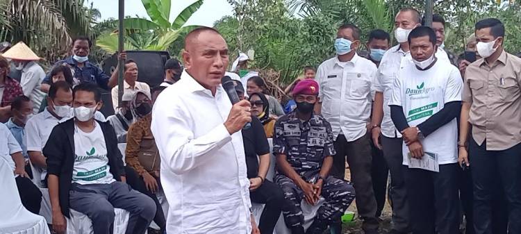 Gubernur Launching Penanam Jagung Perdana di Kawasan TNGL Langkat