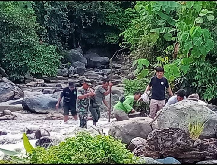 TNI, Polhut dan FKL Gelar Patroli Karhutla di TNGL