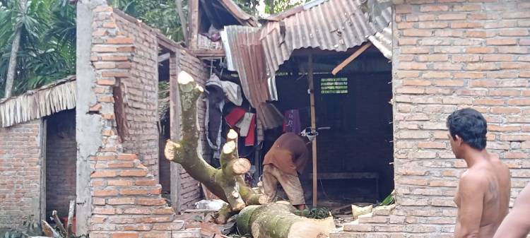 133 Rumah dan Fasilitas Umum Rusak Dihantam Puting Beliung di Besitang Langkat