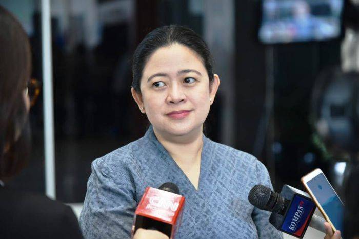 Puan: Larangan Ekspor CPO Harus Mampu Jawab Kelangkaan Minyak Goreng dan Stabilkan Harga