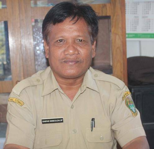 Petani Holtikultura di Simalungun Diimbau Waspada Munculnya Hama Kutu Kebul