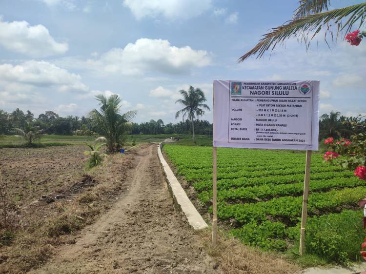 DD Tahap I Nagori Silulu, Bangun Jalan Sektor Pertanian