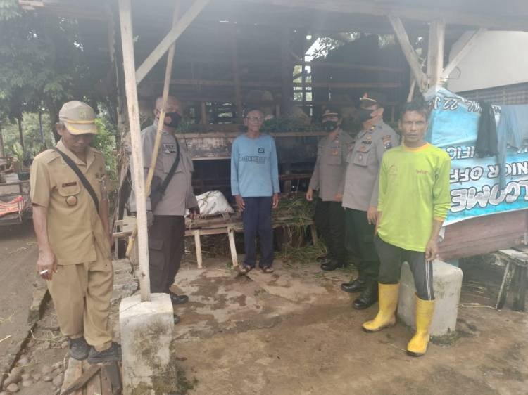 Antisipasi PMK, Polrestabes Medan Cek Kondisi Hewan Ternak