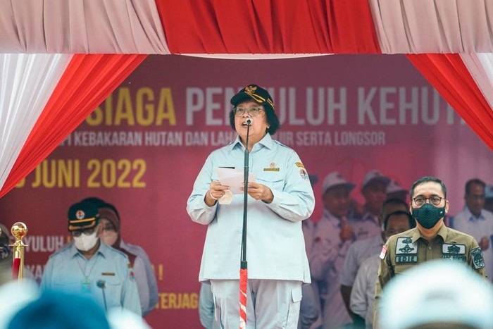 Menteri LHK Minta Cegah Karhutla dan Rehabilitasi Lahan Kurangi Banjir-Longsor