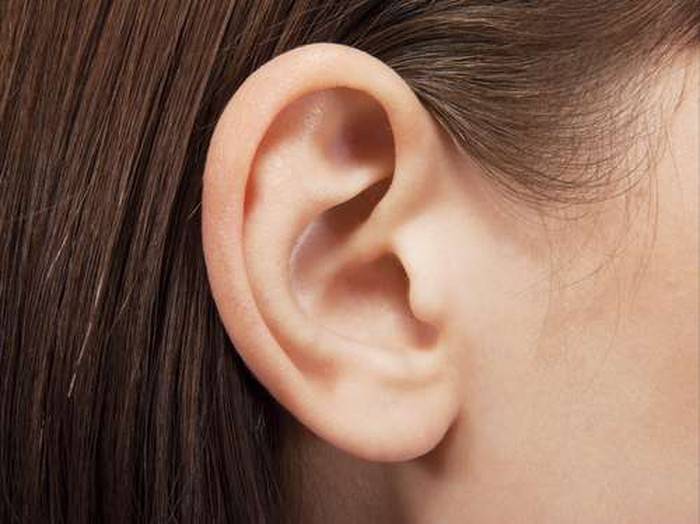 Pertama di Dunia, Dokter Transplantasi Telinga Hasil Cetakan 3D