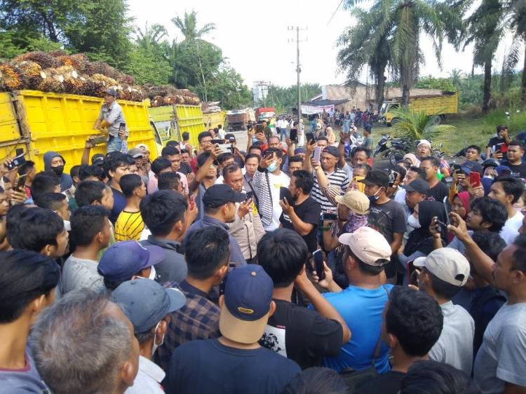 Puluhan Truk Dilarang Masuk, Jalan Lintas Pulopadang Macet Total