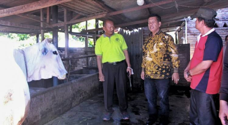 200 Dosis Vaksin PMK Tiba di Simalungun