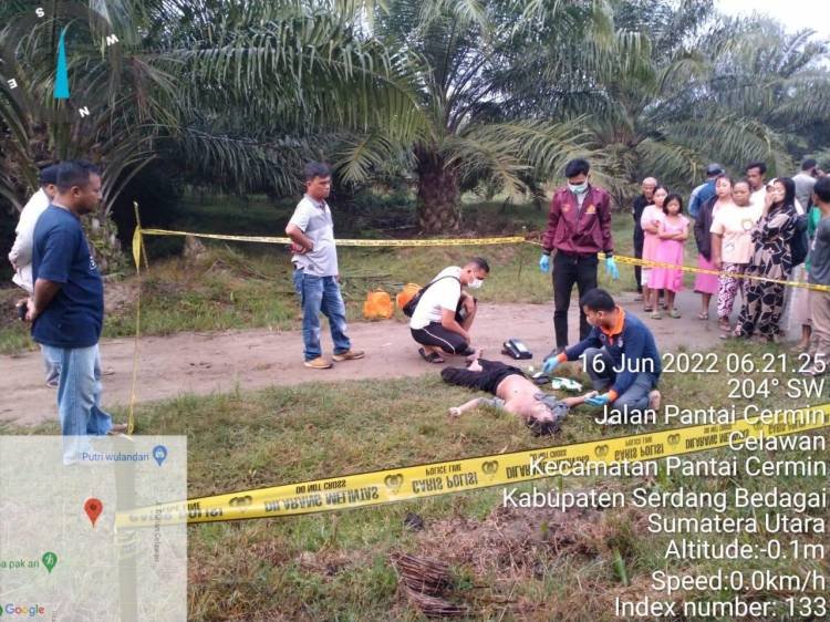 Penemuan Mayat di Areal Perkebunan Sawit Hebohkan Warga Sergai