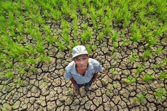 DPD Aspatan Sumut Ingatkan Gubernur Antisipasi Ancaman Krisis Pangan Landa Sumut