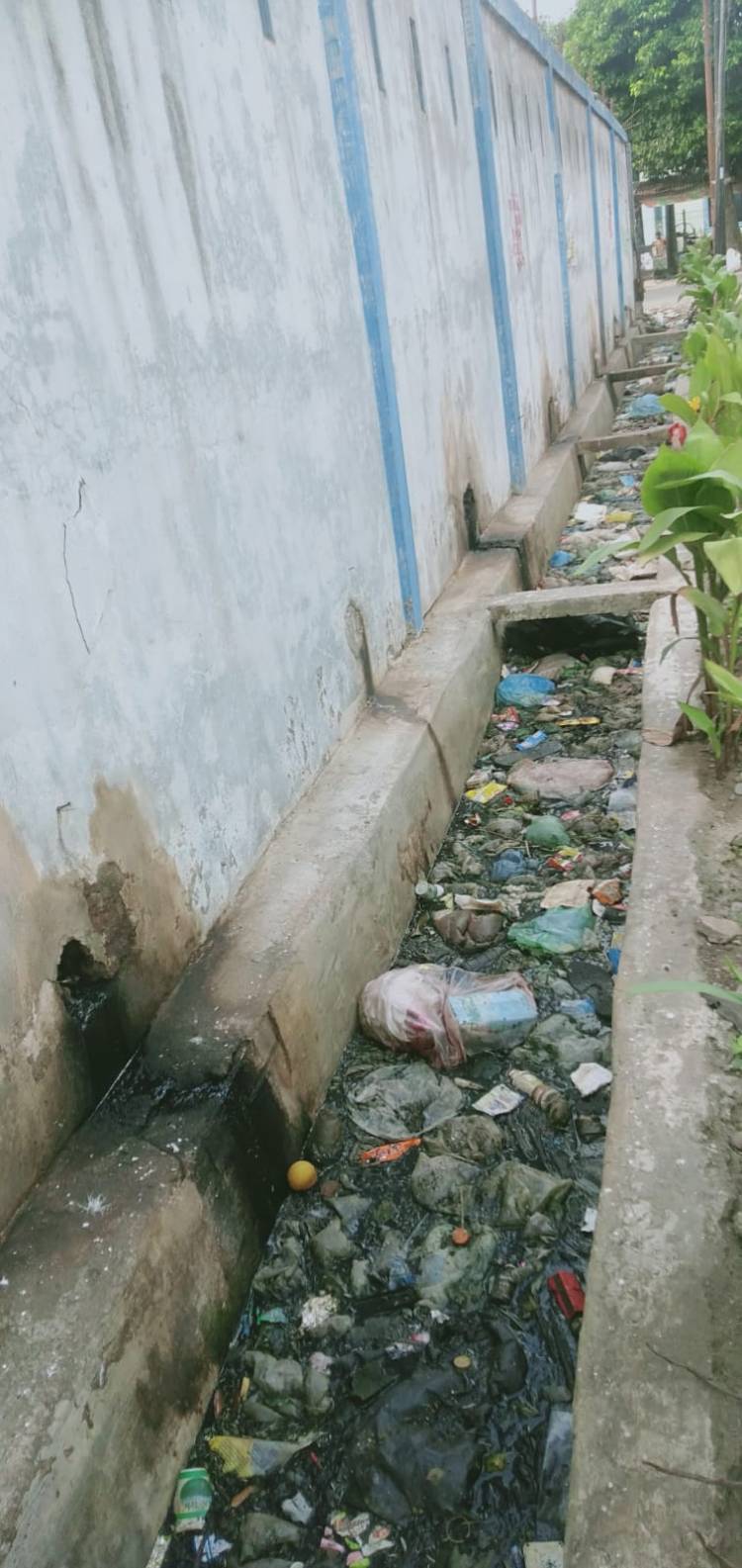 Bau Busuk dari TPS Perumnas Mandala Resahkan Masyarakat