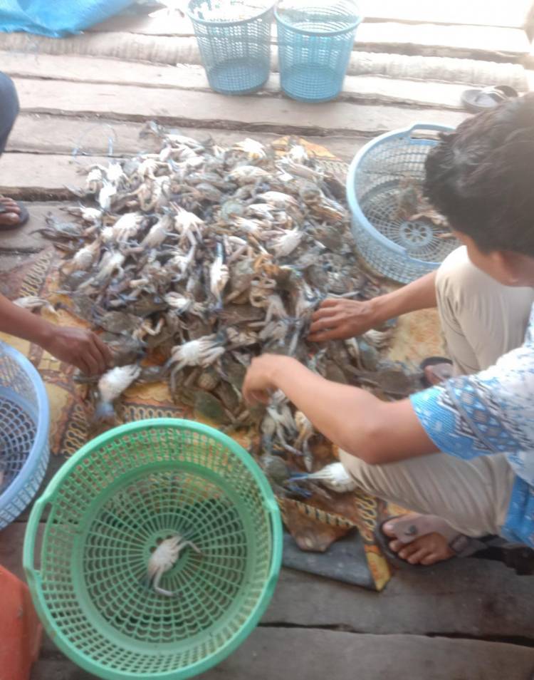 Sulit Dapatkan BBM Solar, Hasil Tangkapan Nelayan Tradisional Silo Baru Minim