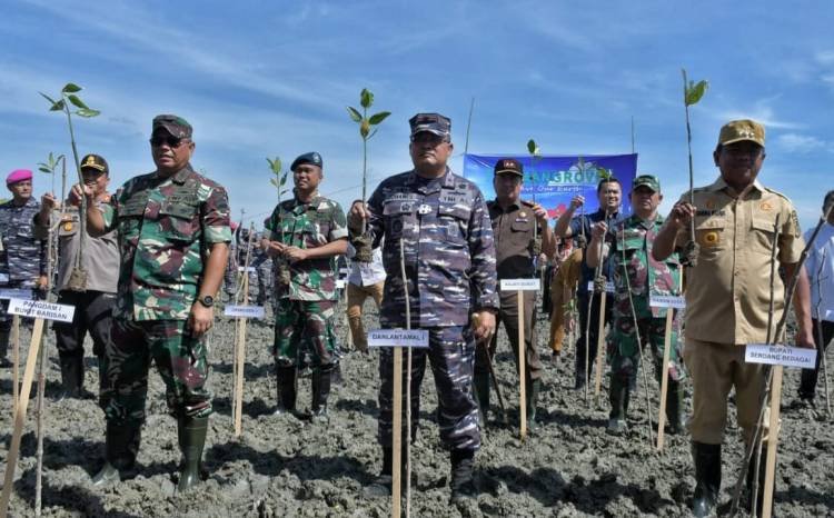 Lantamal I Belawan- Pemkab Sergai Tanam 10 Ribu Bibit Mangrove di Bagankuala
