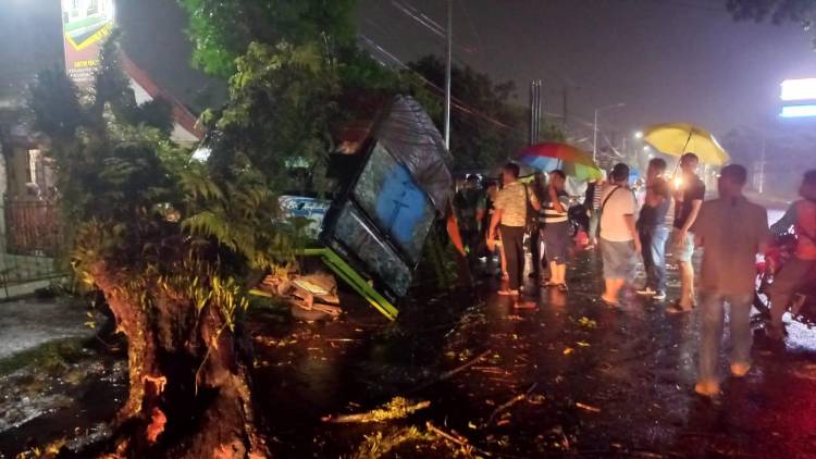 Pohon Tumbang Timpa Mobil Pick Up di Pematangsiantar