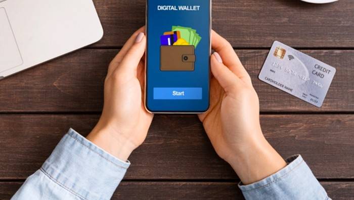 Apa-apa Serba Online, Dompet Digital Bertaburan