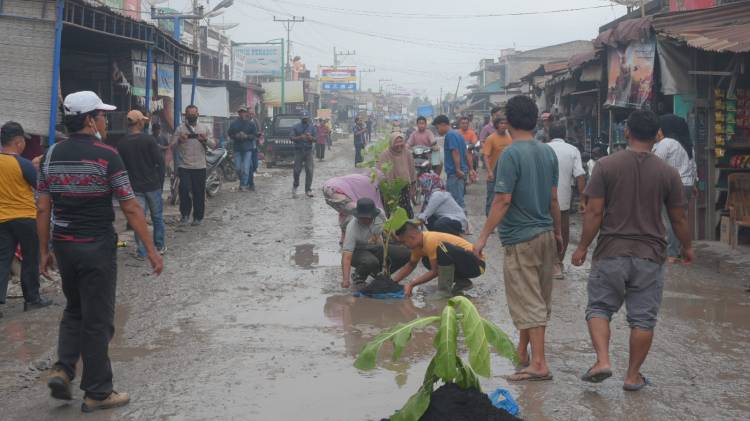 Protes Jalan Rusak, Warga Tanam 1.000 Pohon di Jalan Provinsi Panai Hulu