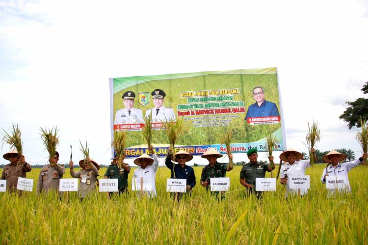 Wamentan Kunker, Bupati Targetkan Sergai Jadi Lumbung Beras Nomor Satu di Sumut