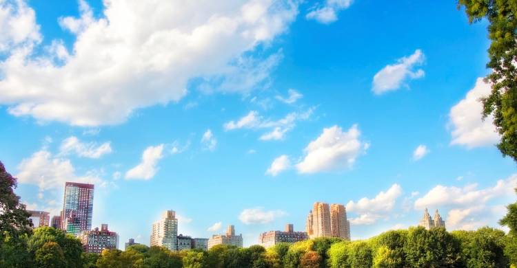 Kolaborasi Negara Asia Pasifik dalam Upaya Perbaikan Kualitas Udara Jakarta dan Dunia