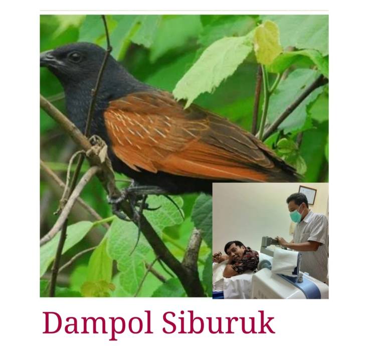 Dampol Siburuk