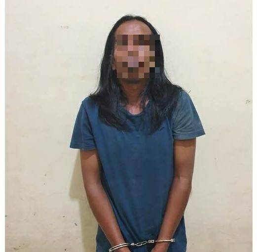 Polda Sumut Gagalkan Peredaran 200 Kg Ganja