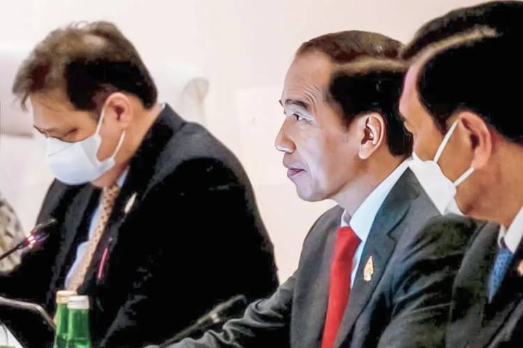 Mitigasi Risiko Ekonomi 2023, Pemerintah Harus Fokus Jaga Ketahanan Pangan dan Energi