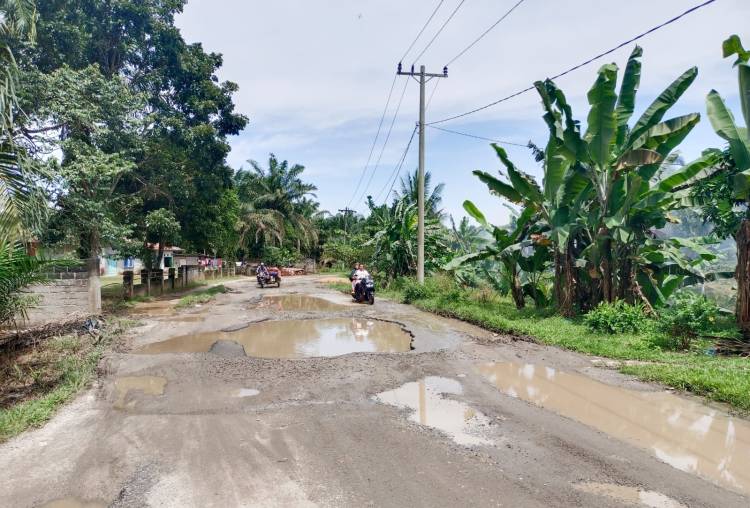 Ruas Jalan Londut-Kuala Beringin Labura Bagai Kubangan Kerbau, Pengemudi Mengeluh