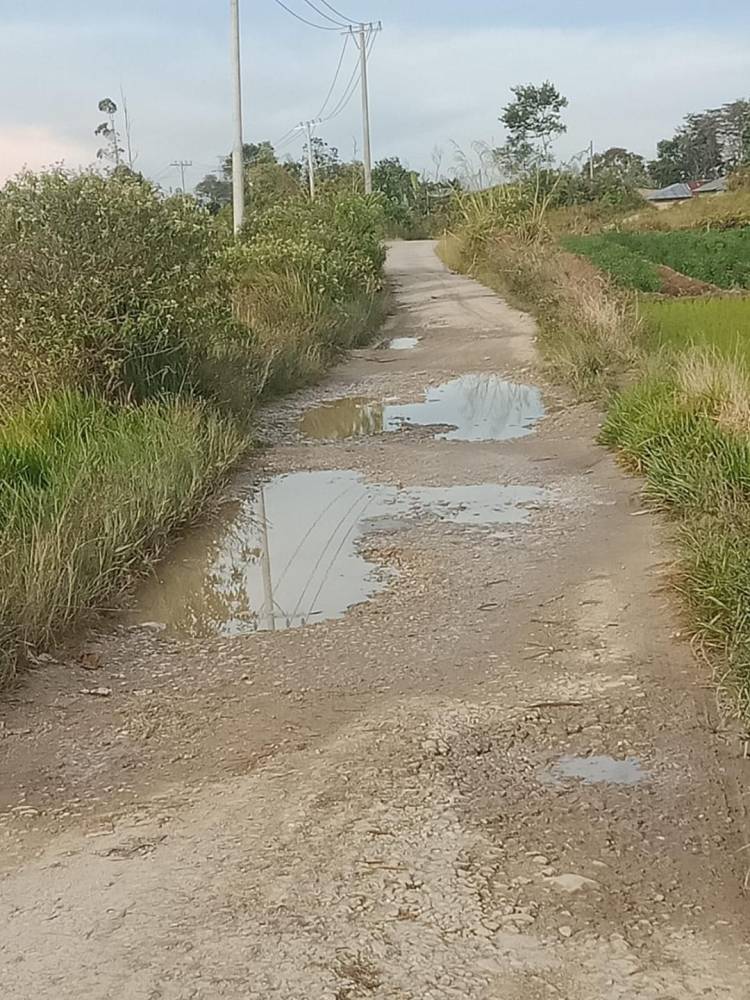 Jalan Pagaran Pisang Rusak Parah, Perlu Perhatian Pemerintah Setempat