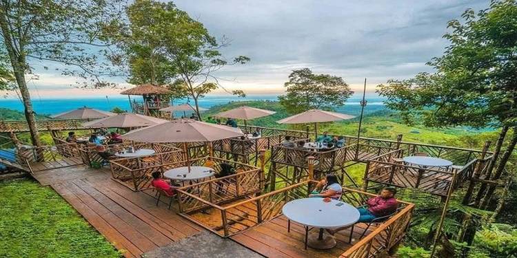 Rumah Pohon Habitat, Wisata Alam Bagai Negeri Khayangan