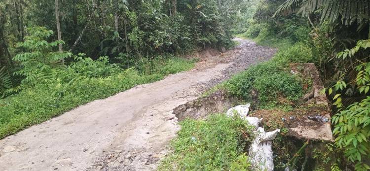 Jalan Menuju Nagori Negeri Dolok Nyaris Putus
