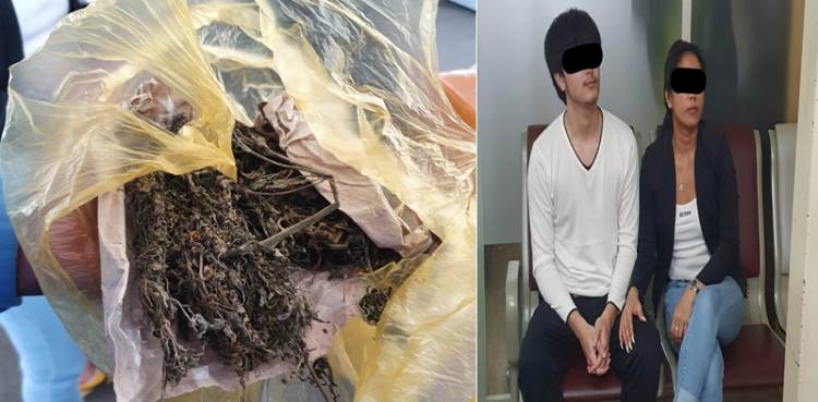 Bawa Ganja, 2 Warga Batam Diamankan di Bandara Kualanamu