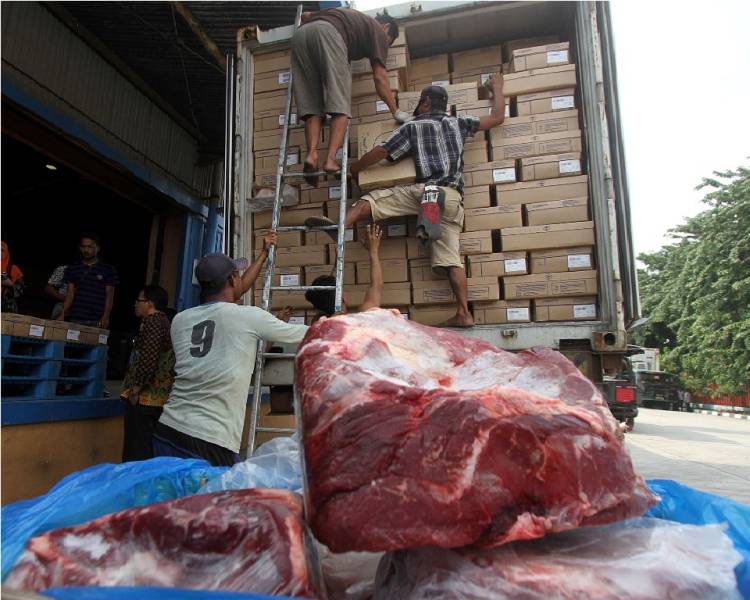 Bulog Sumut Sudah Ajukan 5 Kontainer Daging Sapi Beku dari Australia